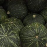 Squash