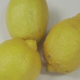 Fresh Lemon