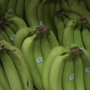 Green Banana