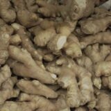 Jamaica Ginger