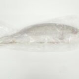 Yellowtail (1/2 � 3/4)
